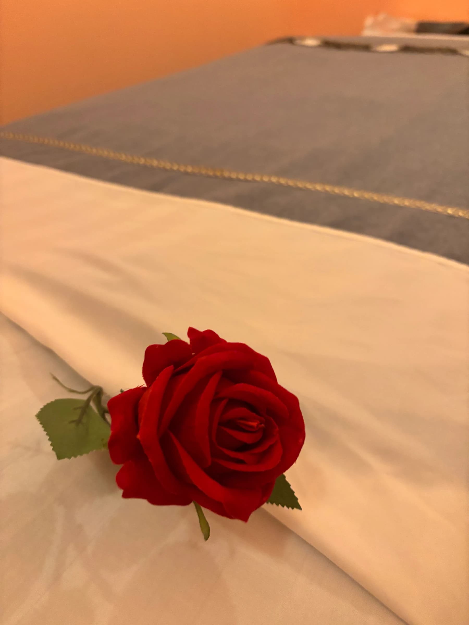 Red Rose On Spa Bed Setup